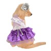 Pet Costume Pret Tiest Pooch SM