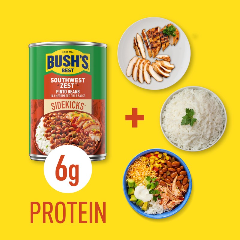 BUSH'S BEST 15 oz Canned Southwest Zest Pinto Beans, Source