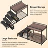 Saudism Pet Bunk Bed with Removable Stairs and 2 Drawers,