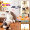 Cat Toys for Indoor Cats Set 5 pcs, Attractive Cat