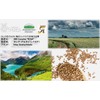Altai Buckwheat Seeds, 28.7 oz (800 g) x 2 Bags,