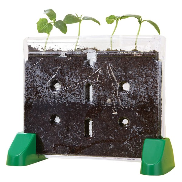 Educational Insights Sprout & Grow Window Plant Growing Kit, Science Kit for Homeschool & Classrooms, Ages 5+