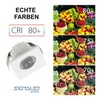 SIGMALED LIGHTING, Mini LED Recessed Spotlight, 3 W, Dimmable, Neutral