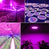 highydroLED 156-LED Full Spectrum Plant Light, E27 Grow Bulb for