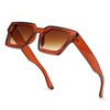 FEISEDY Retro 90s Square Sunglasses for Women Men Trendy Chunky