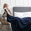 IR Imperial Rooms Sherpa Fleece Blanket Bed Throws Blankets For