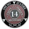 Simply Minimal AA 14 Year Silver Color Plated Recovery Coin,