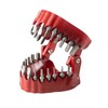 Denture Drill Bit Holder, Bit Organizer Denture Model Holds Up