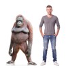 Cardboard People Orangutan Life Size Cardboard Cutout Standup - Made