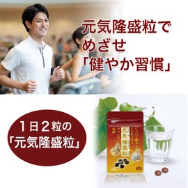 大日ヘルシーフーズ 元気隆盛粒 60粒入 2袋 にんにく卵黄 しじみ ウコン 亜鉛 配合 糖衣粒タイプ サプリ