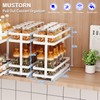 Mustorn 2 Pack Pull Out Spice Rack Organizer for Cabinet,