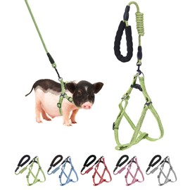 Mini Pig Harness, Adjustable Small Pig Harness with Leash Infinity Style Lead and Soft Foam Handle for Small to Medium Pet Pigs Walking Training Jogging (Green, M)