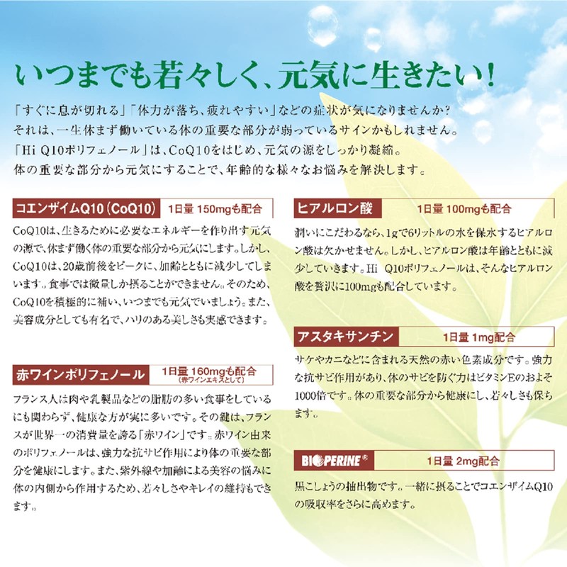 コエンザイム Q10 ポリフェノール120粒入り 1日4粒コエンザイQ10 赤ワインポリフェノール ヒアルロン酸 アスタキサンチン バイオペリン