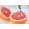 Fox Run 6601 Grapefruit Knife, Stainless Steel and Plastic