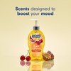 Softsoap Joyful Liquid Hand Soap, Paraben Free, pH Balanced, Cherry
