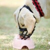 Dog Muzzle, Breathable Basket Muzzles for Small, Medium, Large Dogs,
