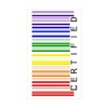 CafePress Certified Rainbow Barcode Side Rectangle Bumper Sticker Car Decal