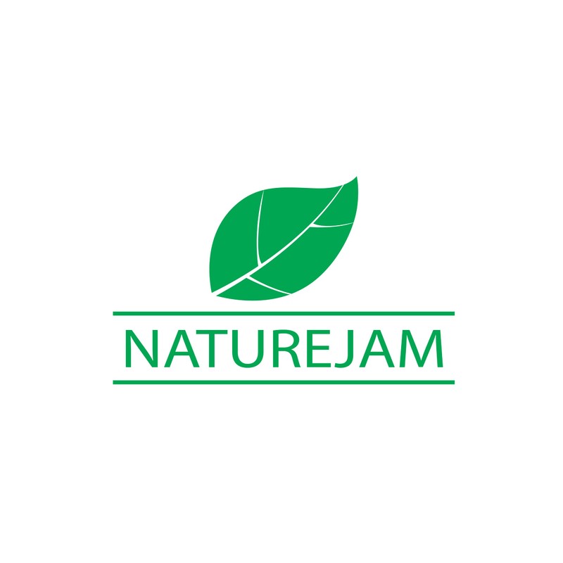 Naturejam Dried & WASHED Chopped Green Onions 4 Ounce Bulk