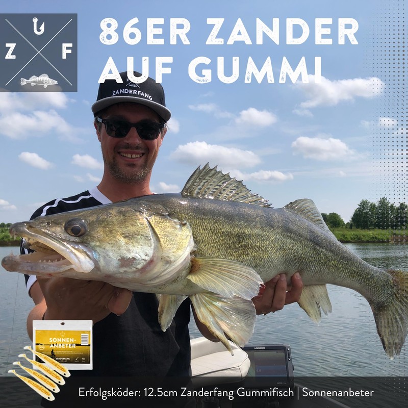 Zanderfang - Rubber fish zander fishing with rubber fish white