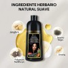 Shampoo Tinte Instantáneo Cubre Canas Natural Jengibre 500ml