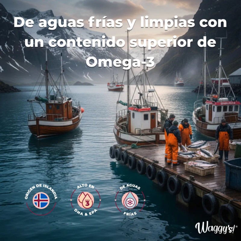 Super Salmon Oil Islandia | Omega-3 Perros Y Gatos 500ml