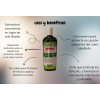 Shampoo De Chile Romero Y Sabila Para Crecimiento Acelerado