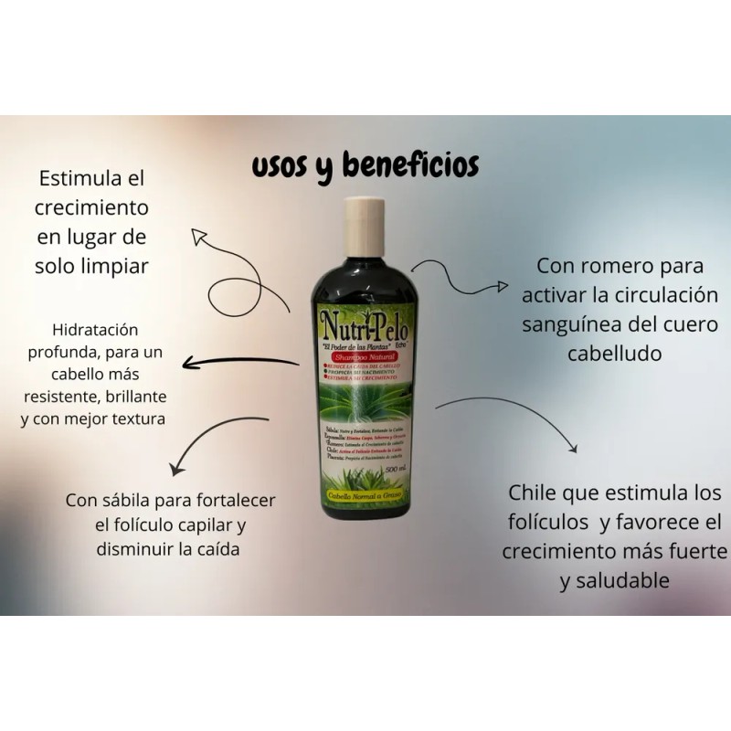 Shampoo De Chile Romero Y Sabila Para Crecimiento Acelerado