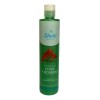 Shampoo De Chile Y Romero Shelo Nabel® 530ml. 2 Piezas