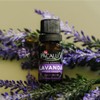 Aceite Esencial de Lavanda 100% Puro | 10 ml |