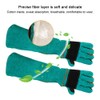 Leather Pet Training Anti bite Anti Scratch Animal Protective Safety