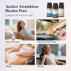 Kaisasa Kit De 12 Aceites Esenciales Aromaterapia Natural Estilo B