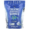 SteelFit Creatine Monohydrate Gummy Blue Raspberry 120 Exercise Supplement, 1 / SteelFit 스틸핏 크레아틴 모노하이드레이트 구미 블루 라즈베리 120 운동보충제, 1