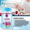 Gut Vita (2 Pack) Gut Vita, Gut Vita Digestion &
