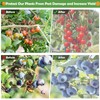 Tetutor 6 Pack Blueberry Bush Netting Cover, Bird Netting for
