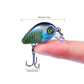 Crankbait Fishing Lures Kits Swimbait Wobbler Hard Baits Mini Lure for Bass Trout Pike Freshwater Saltwater 10pc DW1115 + Fishing Tackle Box
