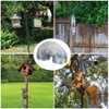 Squirrel Proof Spring Device,Granmagazz Metal Squirrel Barrier Squirrel Guard, Wrap