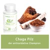 Natur Total 120 Capsules Chaga Mushroom Vital Mushroom (Inonotus Obliquus)