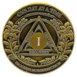 1 Year Rise of the King Sobriety Coin – Journey into Serenity NA Medallion – Spiritual Token for Recovery & Clean Time – Empowering NA AA Chips – Gift for Men & Women
