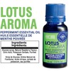 Lotus Aroma Peppermint Essential Oil, 0.5 Ounce