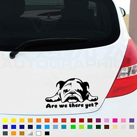 are We There Yet Funny Car Sticker, Bulldog Pet Puppy Sticker, Car Window Bumper Sticker, JDM Stickers, Caravan Sticker, 200mm