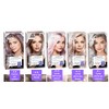 Elea Professional Artisto Permanent Hair Colour Number 12.0 Ultra Light
