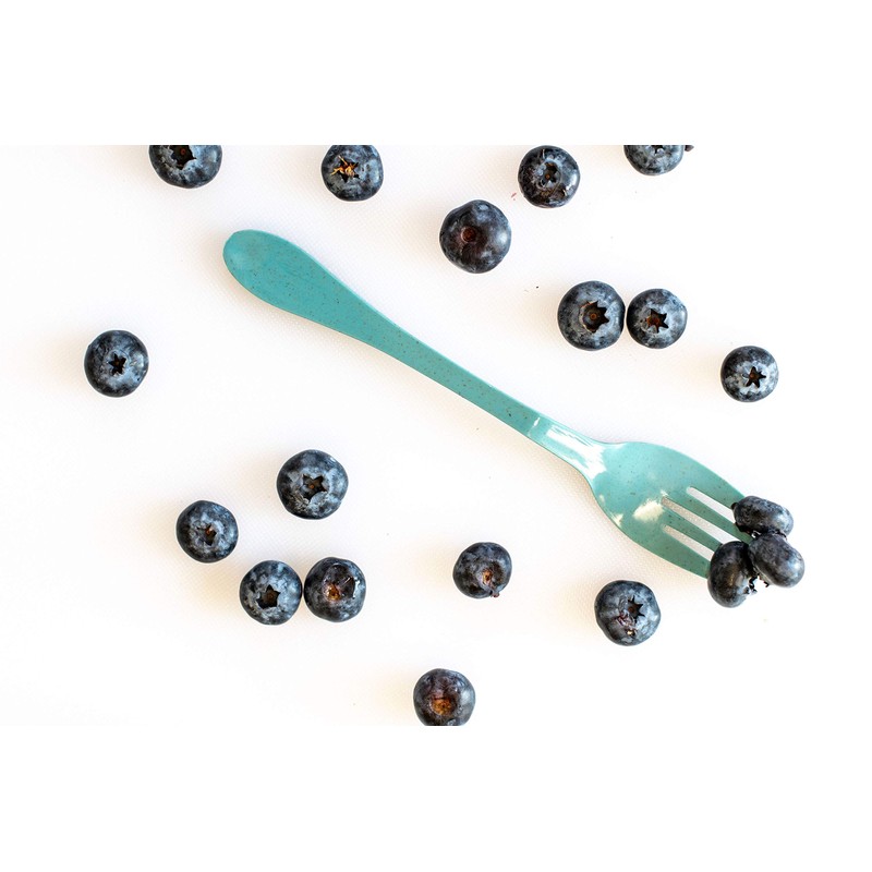 KNORK Eco Biodegradable Reusable, 24 Piece Set, Teal Blue