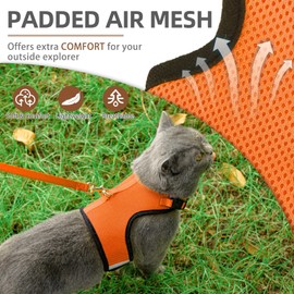 PUPTECK Soft Mesh Cat Vest Harness and Leash Set Puppy Padded Pet Harnesses Escape Proof for Cats Small Dogs Rabbits Bunny