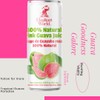 ELEPHANT WORLD 100% Natural Juices | Assorted Superfruits | Soursop-Mango-Guava-Lychee