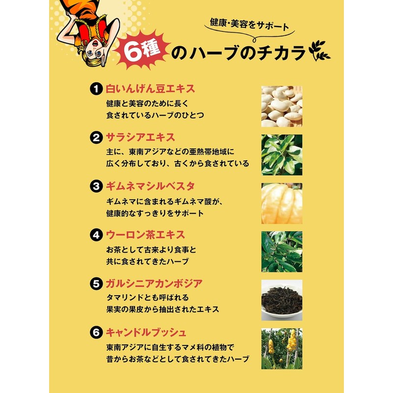 スベルティ 3倍 ぱっくん分解酵母 プレミアム 100粒 Svelty 3x Pakkun Decomposition Yeast