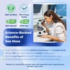 Sotalix Sea Moss Capsule with Ashwagandha, Burdock Root, Bladderwrack, Turmeric