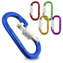Daeshin Biner Hook (Extra Large 0787) D Type Iron Carabiner Camping tent