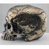 Veronese Design Bronze Finish Craniumography Old Treasure Map On Skull