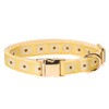 Adjustable Jacquard Webbing in Yellow Daisy Pattern Dog Collar with