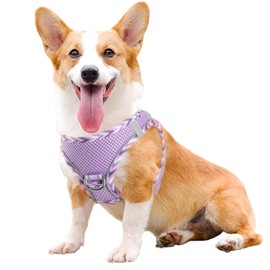 YUDOTE Step-in Reflective Harness Easy-on Easy-off 2-Layer Soft Mesh Vest with ID Tag Holder for Medium Dogs Daily Use,Lilac